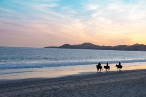 Cabo Horseback Riding