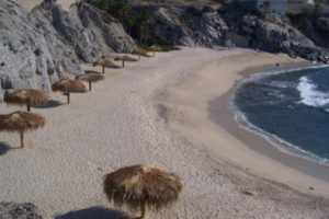 Property agents Cabos